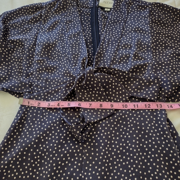 Alexis Kasany Polka Dot Dress - Picture 12 of 13